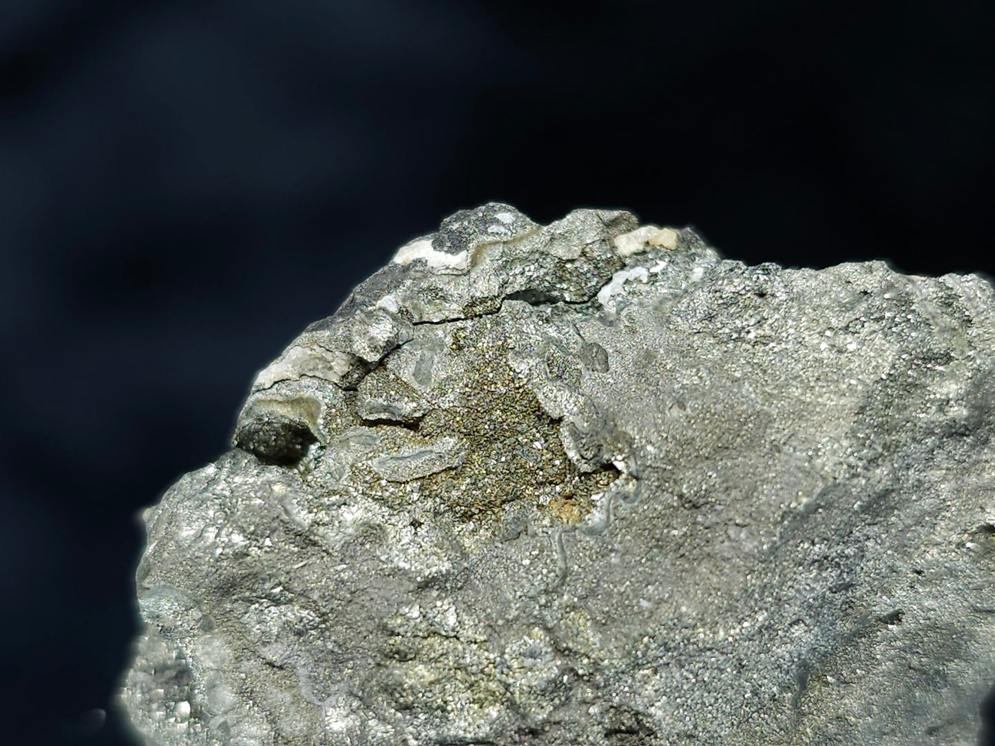 #55018 Fossil flower with golden Chalcopyrite coating and Calcite with multiple fossils in the matrix