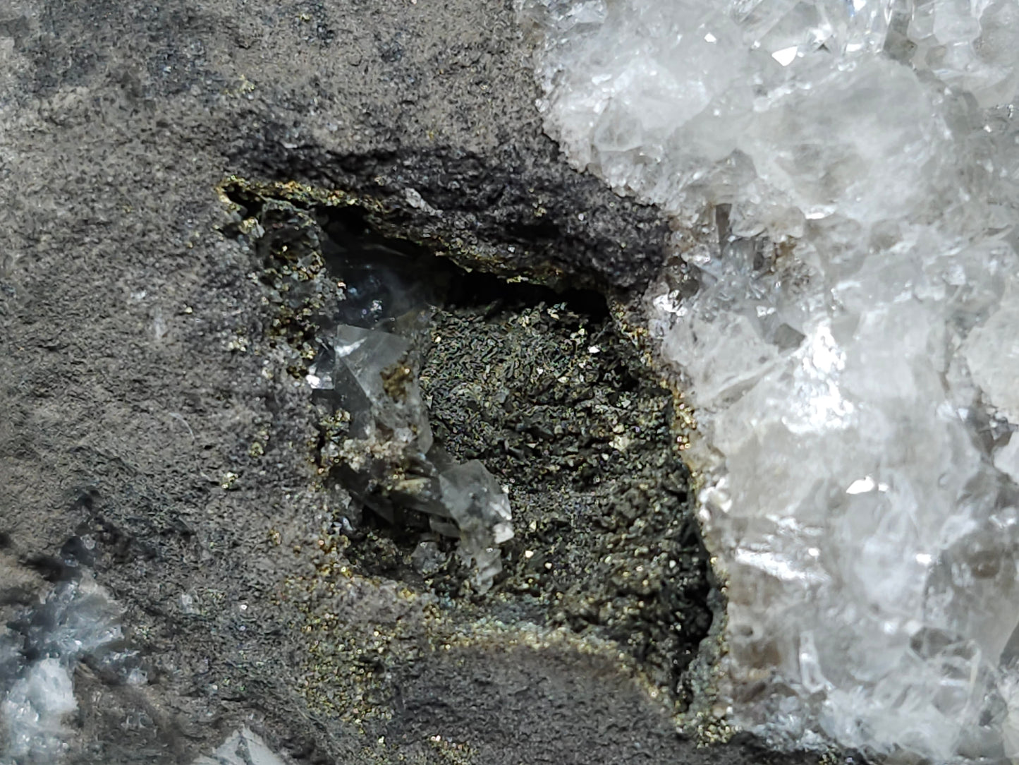 #55022 Peacock ore Chalcopyrite, fossil flower with Chalcopyrite coating, Calcite lines and small Baryte pieces, on matrix that have small fossil in it