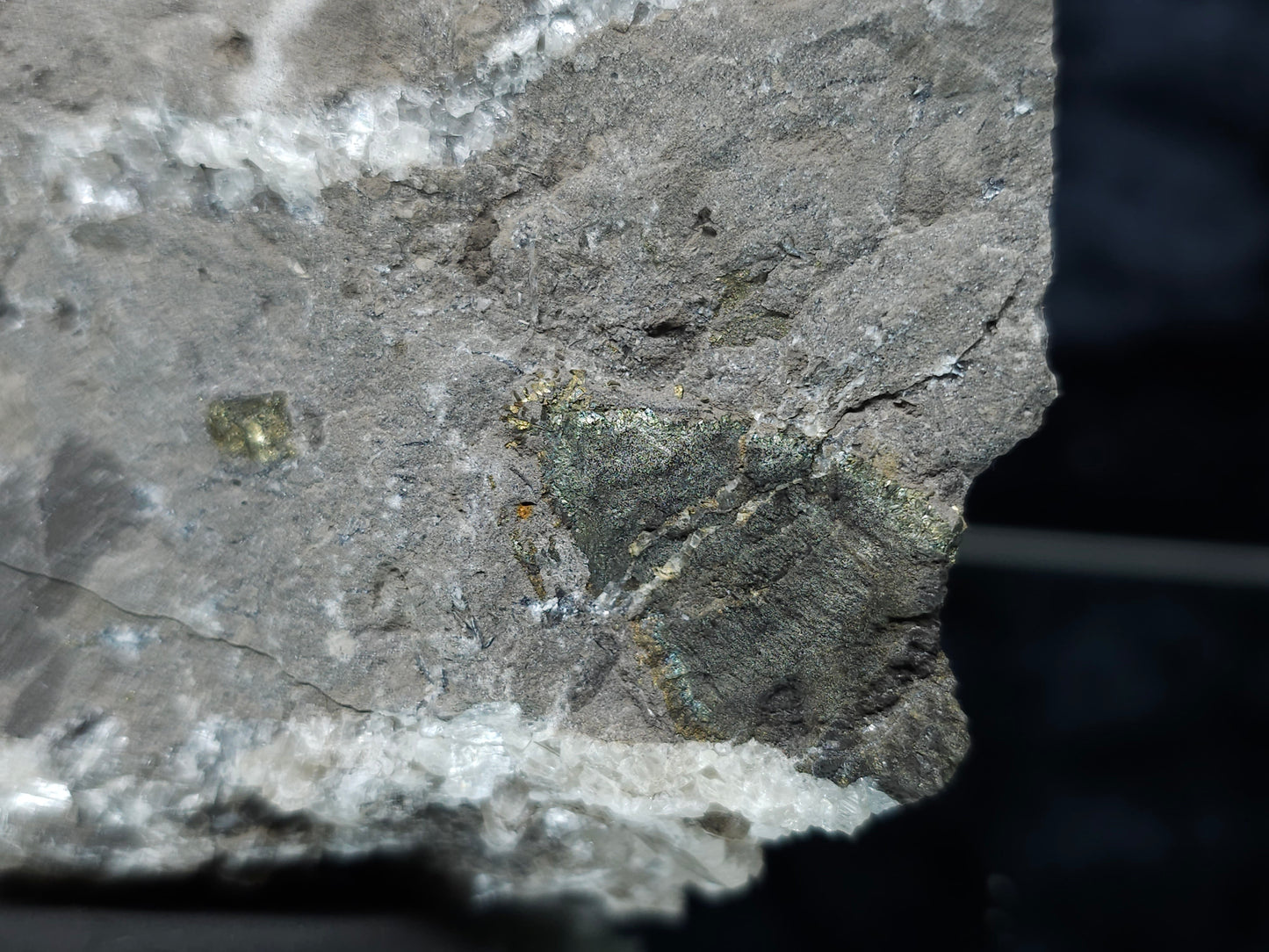 #55022 Peacock ore Chalcopyrite, fossil flower with Chalcopyrite coating, Calcite lines and small Baryte pieces, on matrix that have small fossil in it