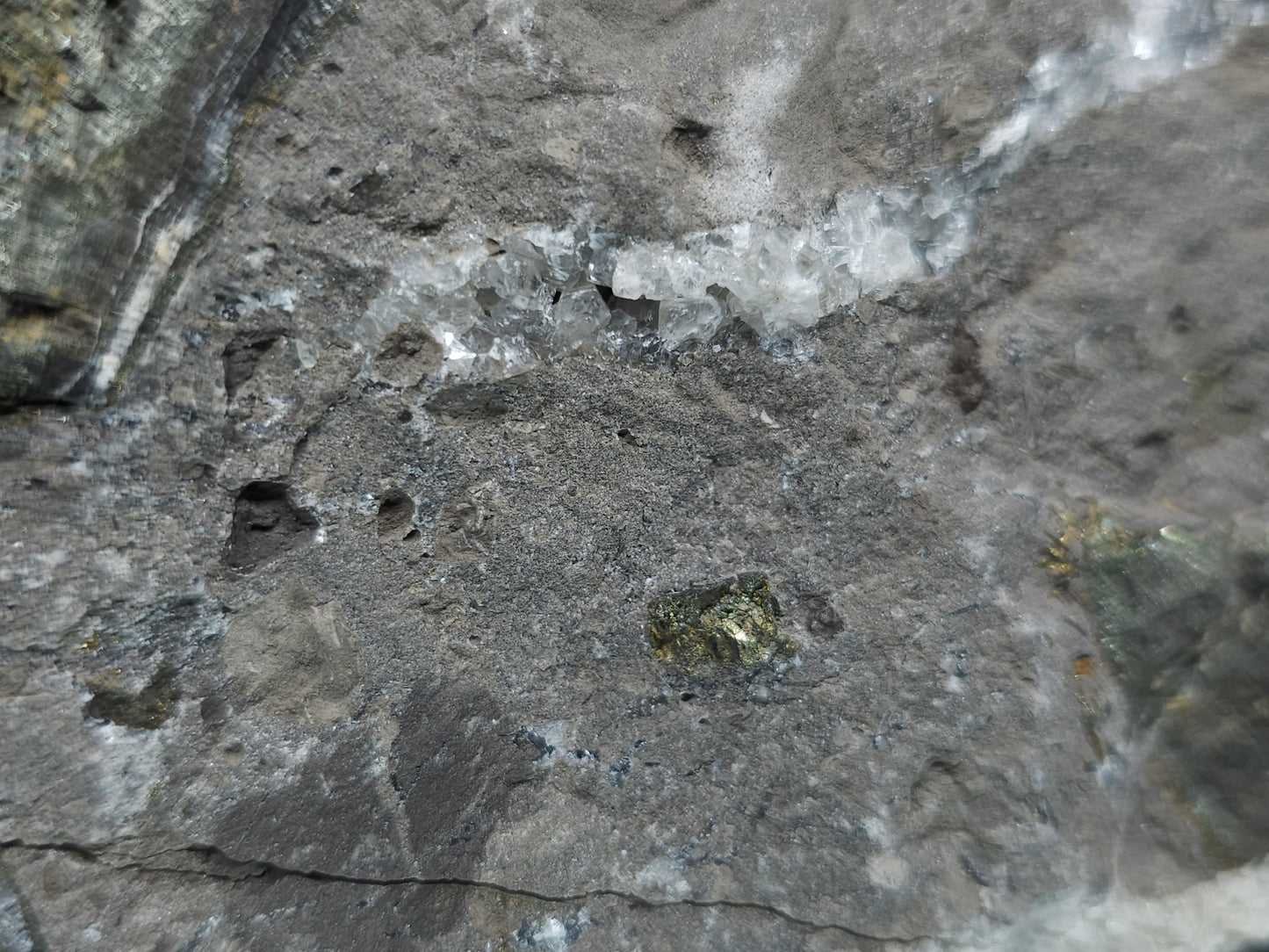 #55022 Peacock ore Chalcopyrite, fossil flower with Chalcopyrite coating, Calcite lines and small Baryte pieces, on matrix that have small fossil in it