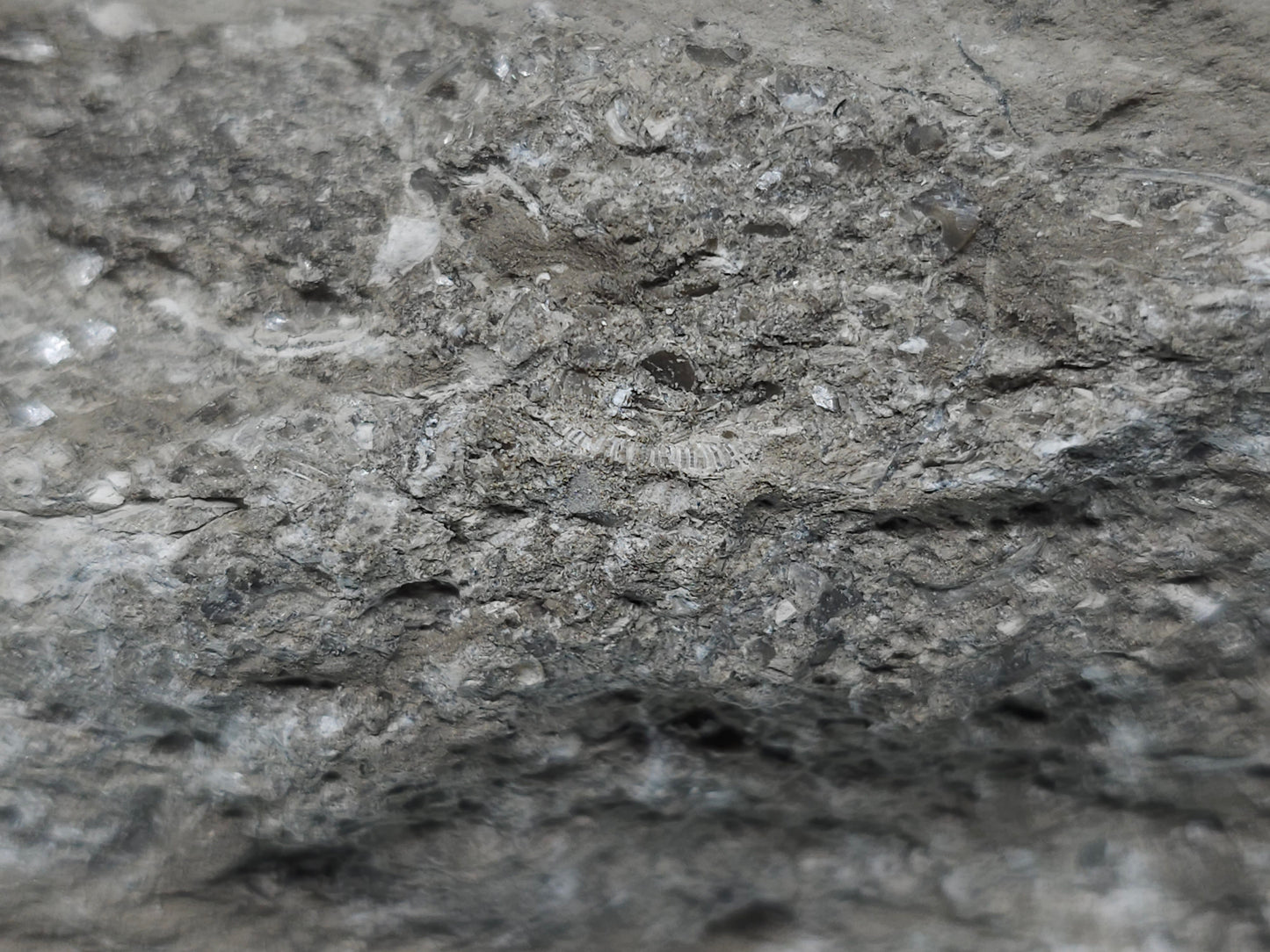 #33132 Super clear Nailhead Spar Calcite cluster with Chalcopyrite ore and multiple small fossils in the matrix