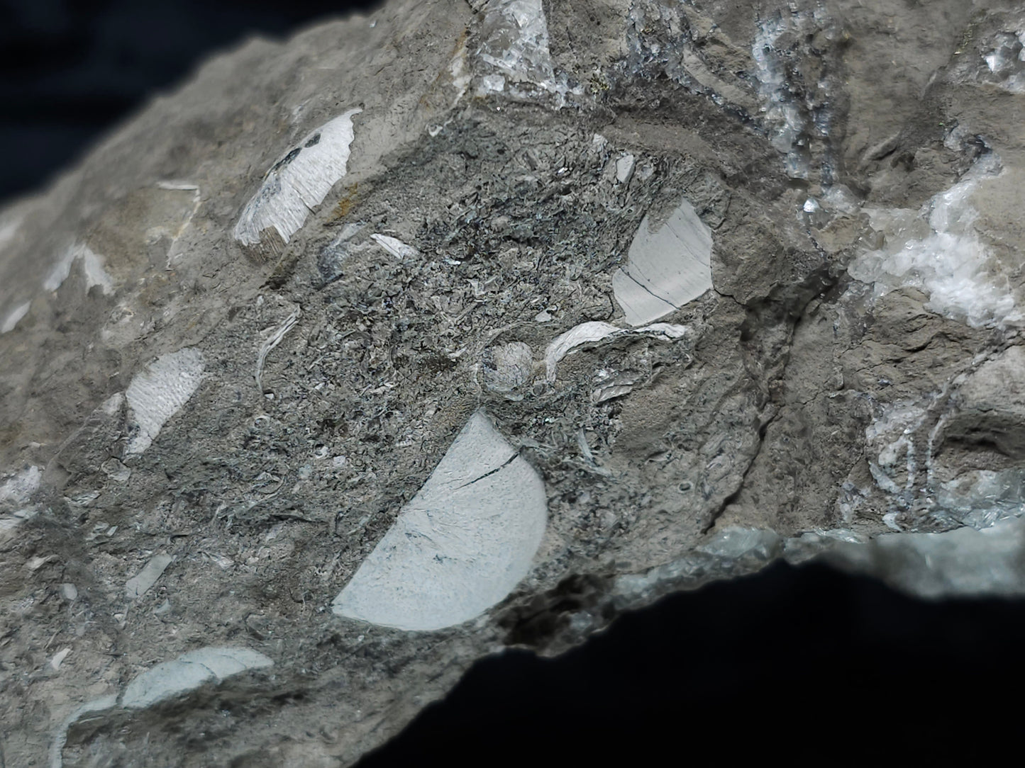 #33149 Super clear Nailhead Spar Calcite geode with Chalcopyrite ore and multiple small fossils in the matrix