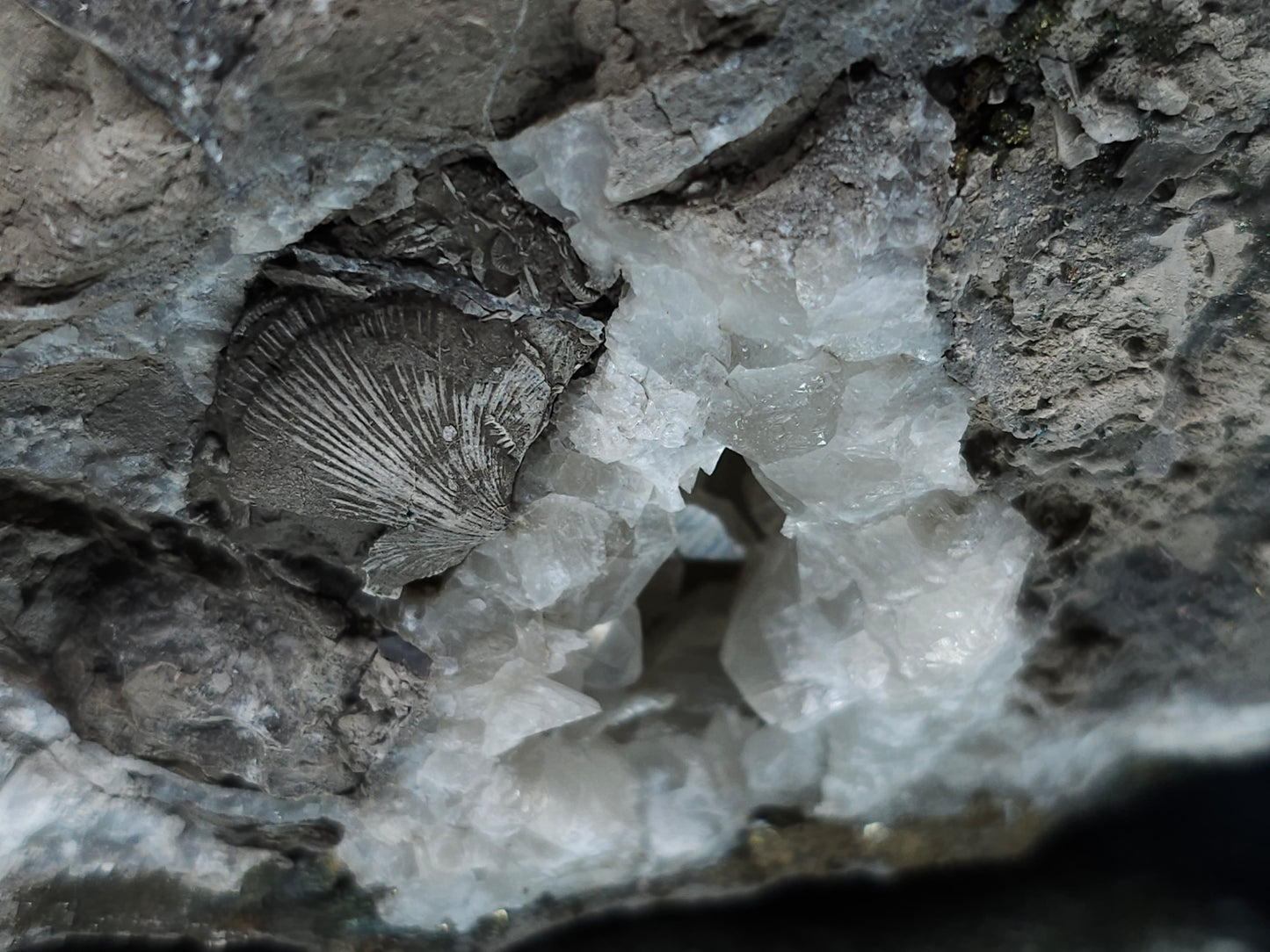 #33156 Super clear Nailhead Spar Calcite geode with Chalcopyrite ore and multiple small fossils in the matrix