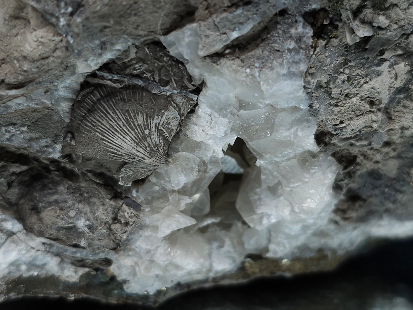 #33156 Super clear Nailhead Spar Calcite geode with Chalcopyrite ore and multiple small fossils in the matrix