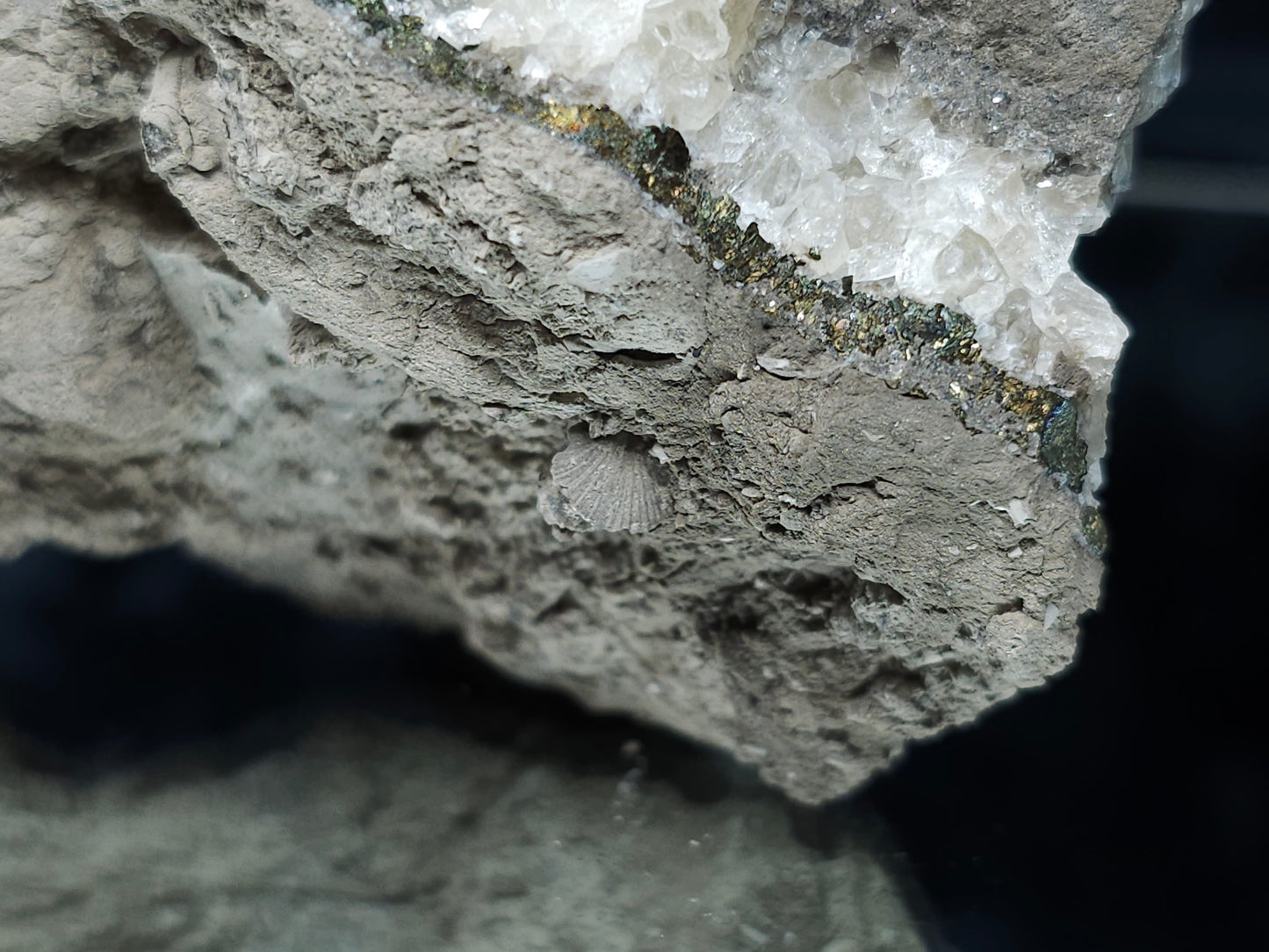 #33177 Double phantom Nailhead and clear Nailhead Spar Calcite geode with Chalcopyrite ore and multiple small fossils in the matrix