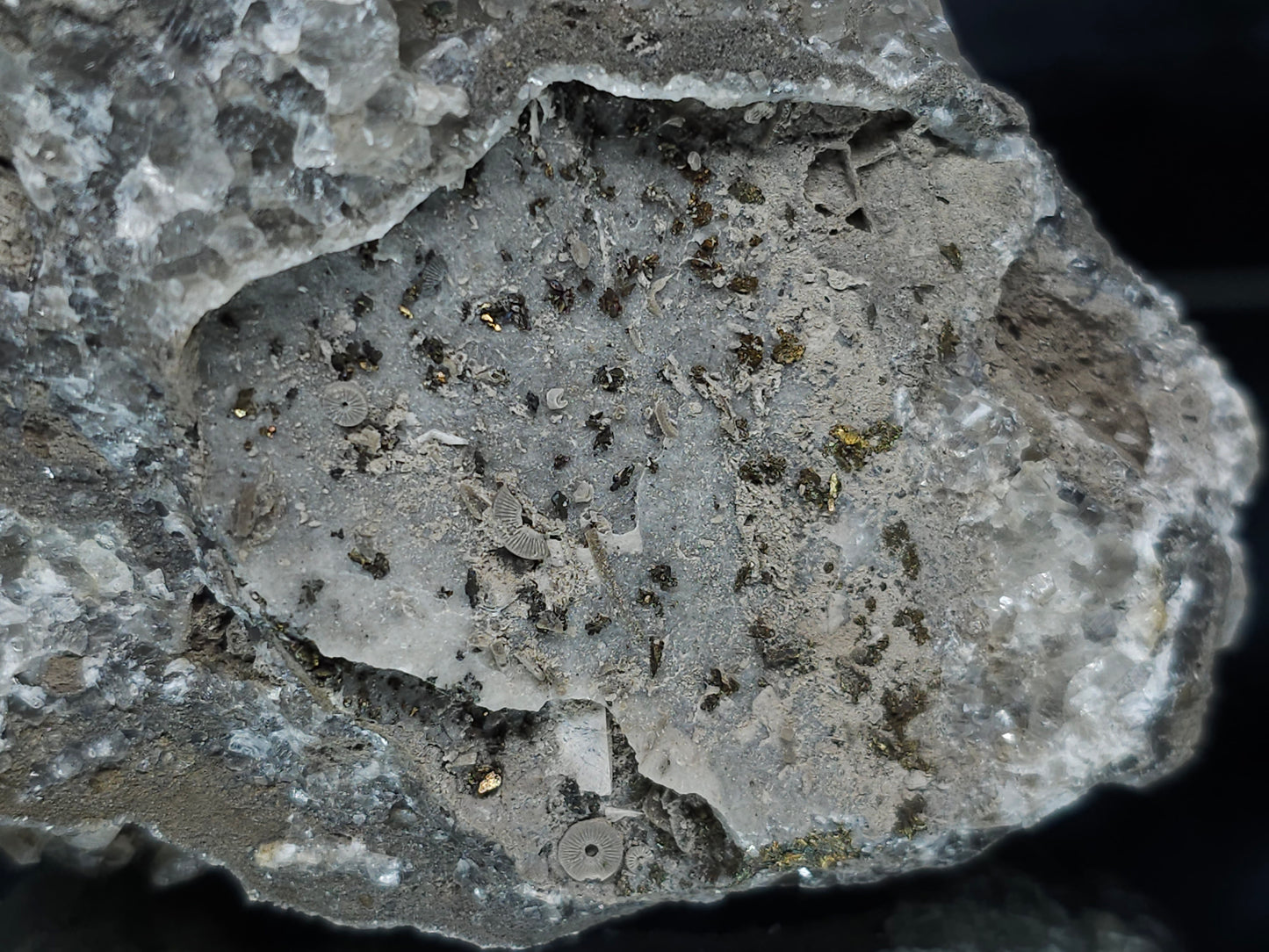 #33186 Double phantom Nailhead Spar Calcite cluster with Chalcopyrite ore and multiple small fossils in the matrix