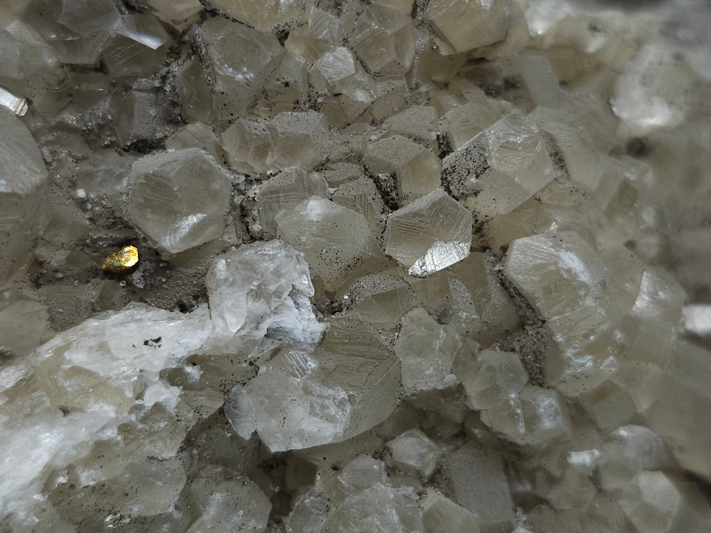 #33213 Double phantom Nailhead Spar Calcite cluster with Chalcopyrite ore and multiple small fossils in the matrix