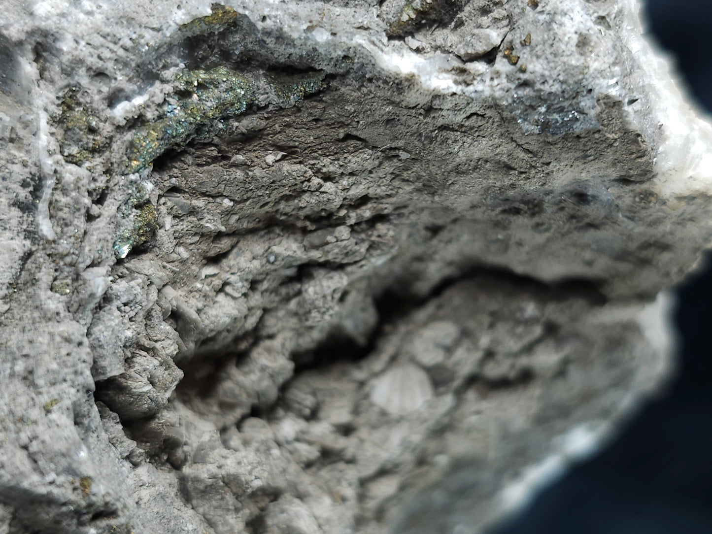 #33213 Double phantom Nailhead Spar Calcite cluster with Chalcopyrite ore and multiple small fossils in the matrix