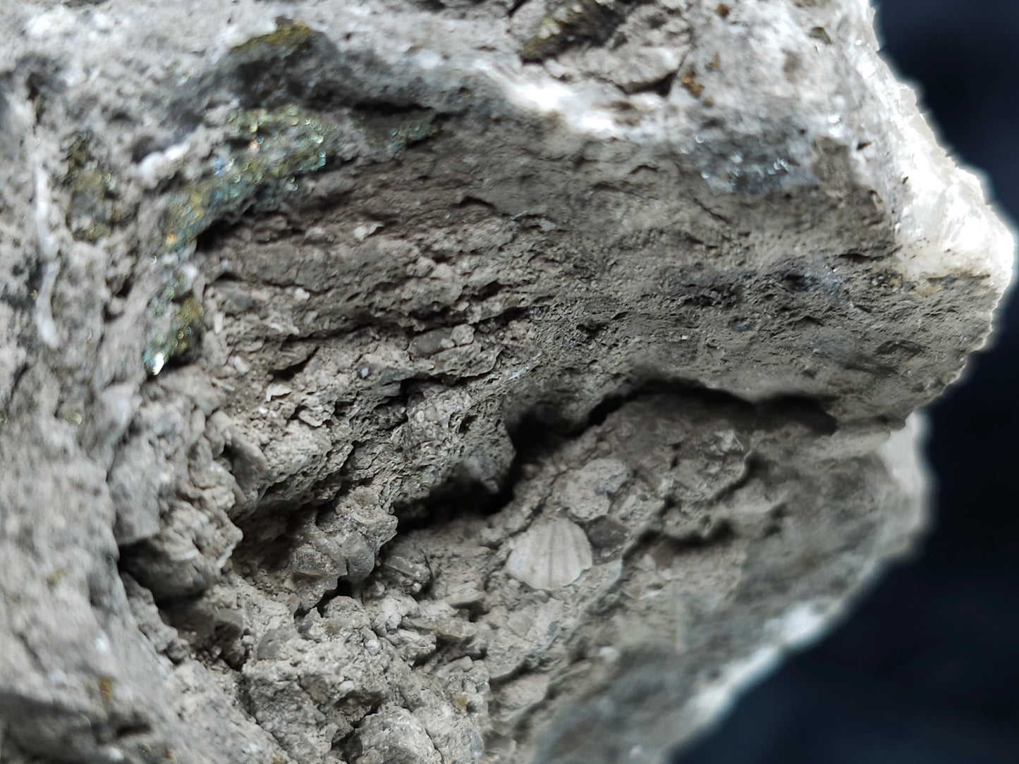 #33213 Double phantom Nailhead Spar Calcite cluster with Chalcopyrite ore and multiple small fossils in the matrix