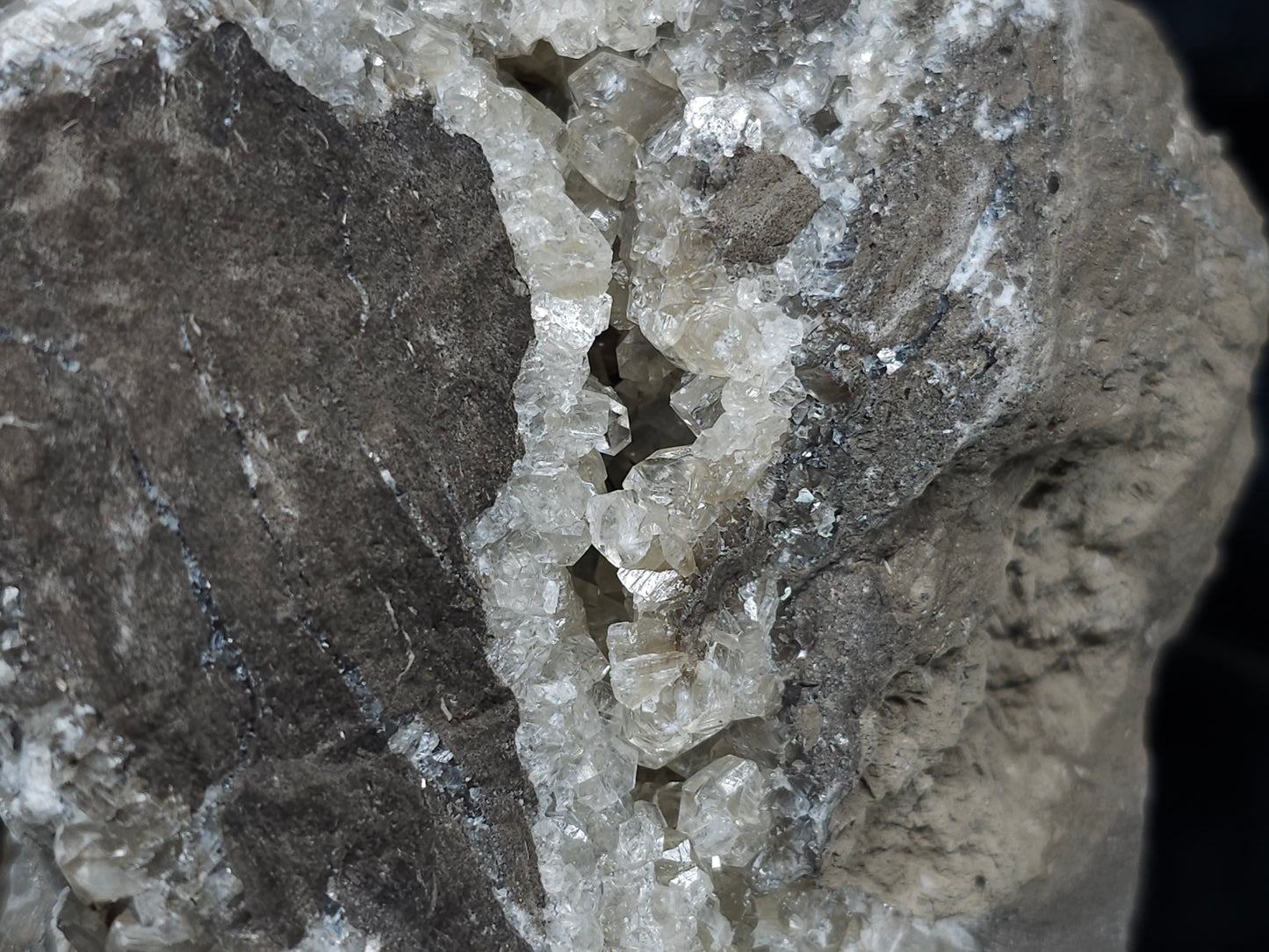 #33217 Double phantom Nailhead Spar Calcite cluster with Chalcopyrite ore and multiple small fossils in the matrix