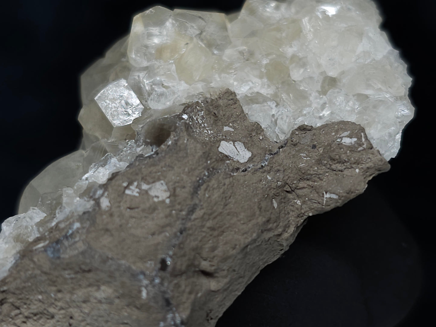 #33986 Super clear Nailhead Spar Calcite cluster and Chalcopyrite ore and multiple small fossils in the matrix