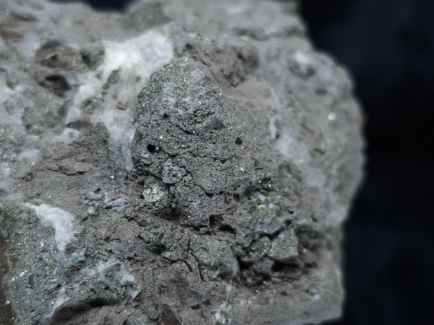 #35881 Chalcopyrite ore and Calcite with multiple fossil in the matrix