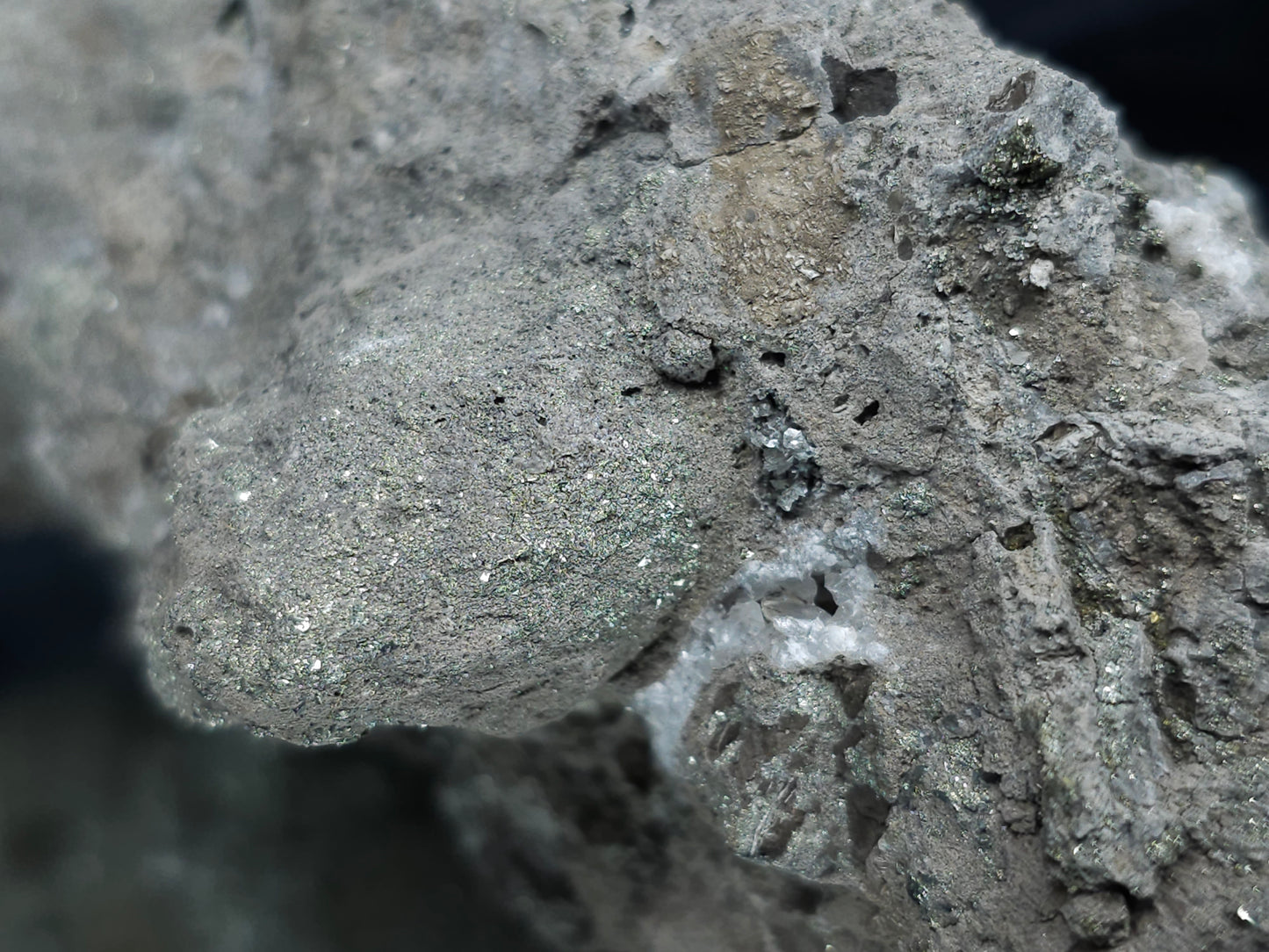 #35881 Chalcopyrite ore and Calcite with multiple fossil in the matrix