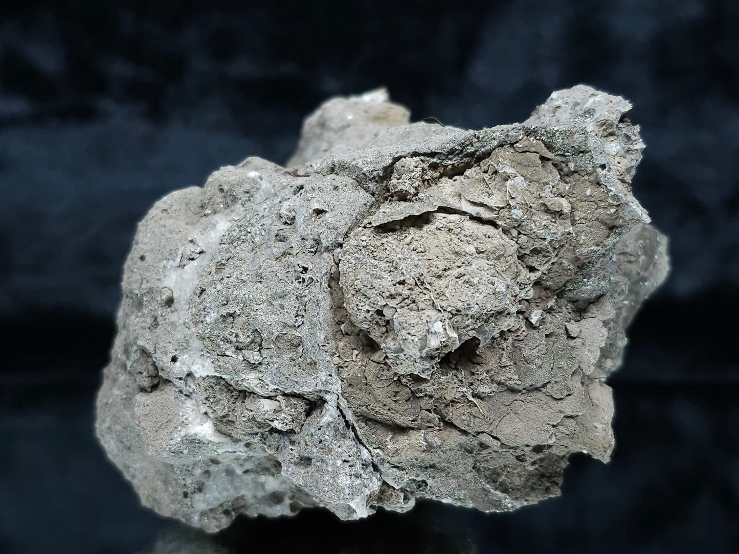 #35881 Chalcopyrite ore and Calcite with multiple fossil in the matrix