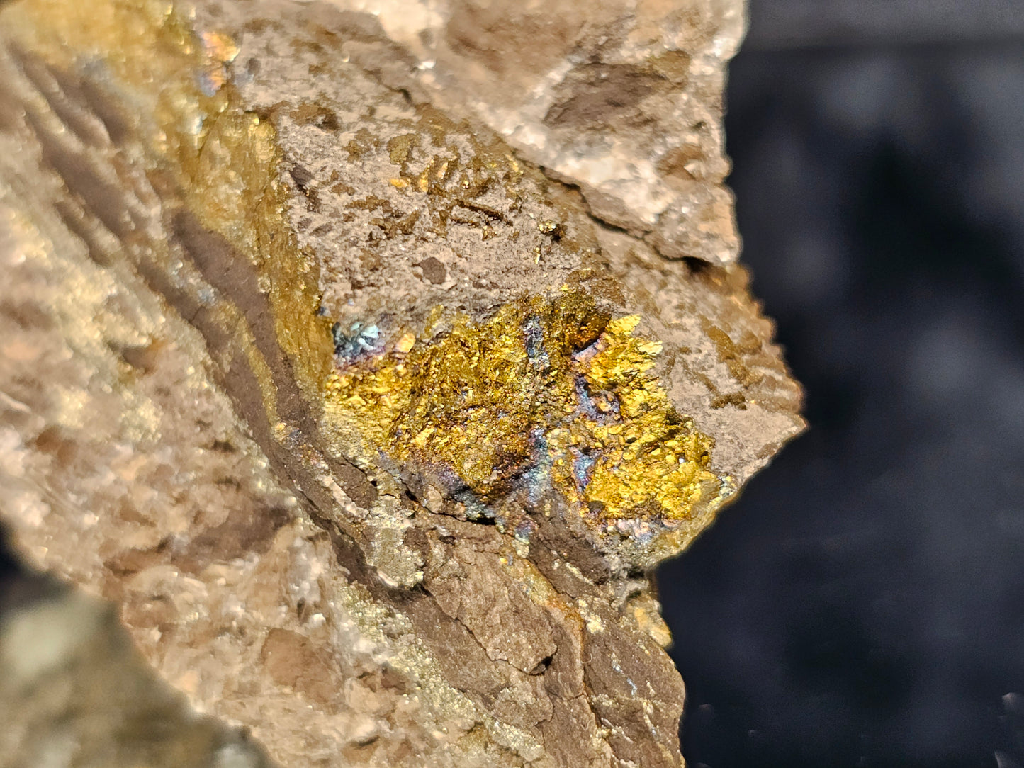 #35895 Golden peacock Chalcopyrite ore and Calcite formation