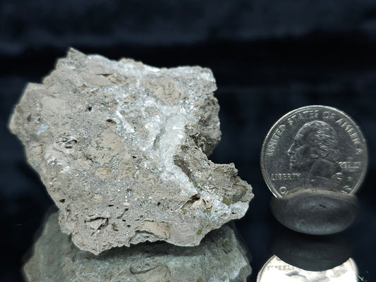 #35899 Super clear Nailhead Spar Calcite cluster and Chalcopyrite ore and multiple small fossils in the matrix