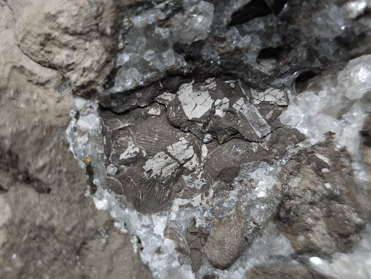 #33972 Super clear Nailhead Spar Calcite geode and Chalcopyrite ore and multiple small fossils in the matrix