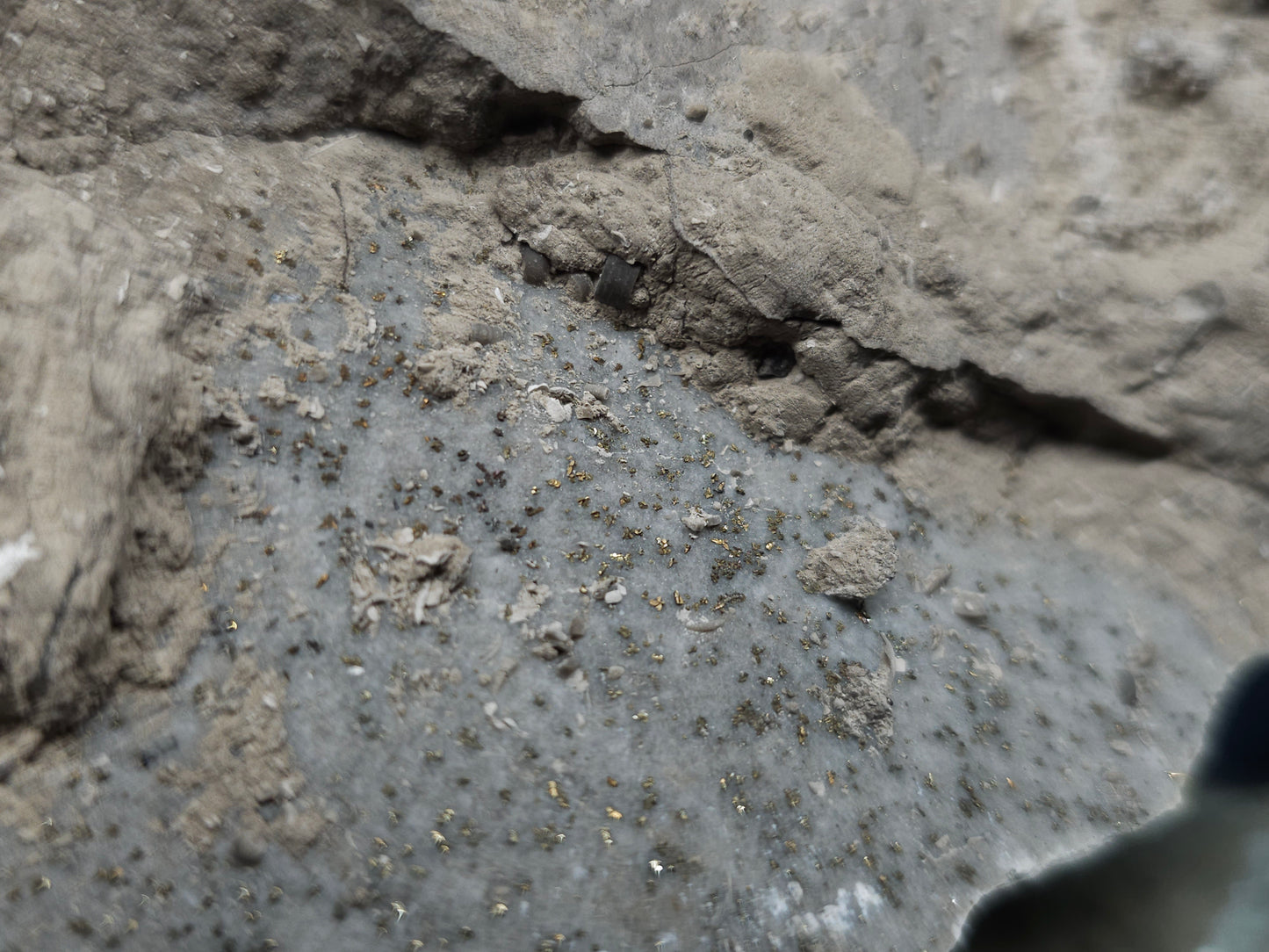 #33973 Super clear Nailhead Spar Calcite geode and Chalcopyrite ore and multiple small fossils in the matrix