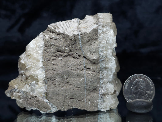 #33975 double phantom Nailhead Spar Calcite cluster and Chalcopyrite ore and awesome Trilobite fossil