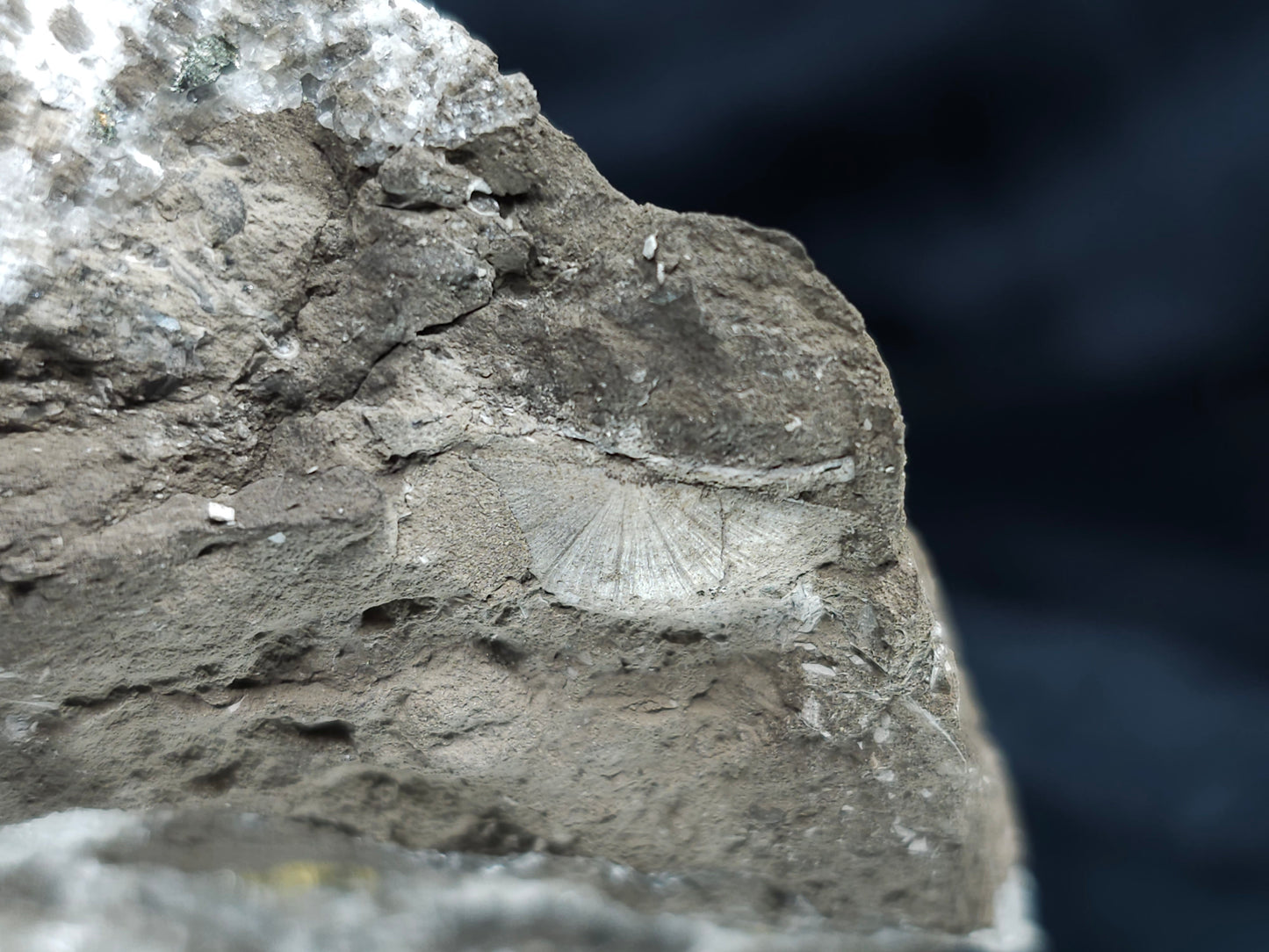 #33977 Super clear Nailhead Spar Calcite geode and Chalcopyrite ore and multiple small fossils in the matrix