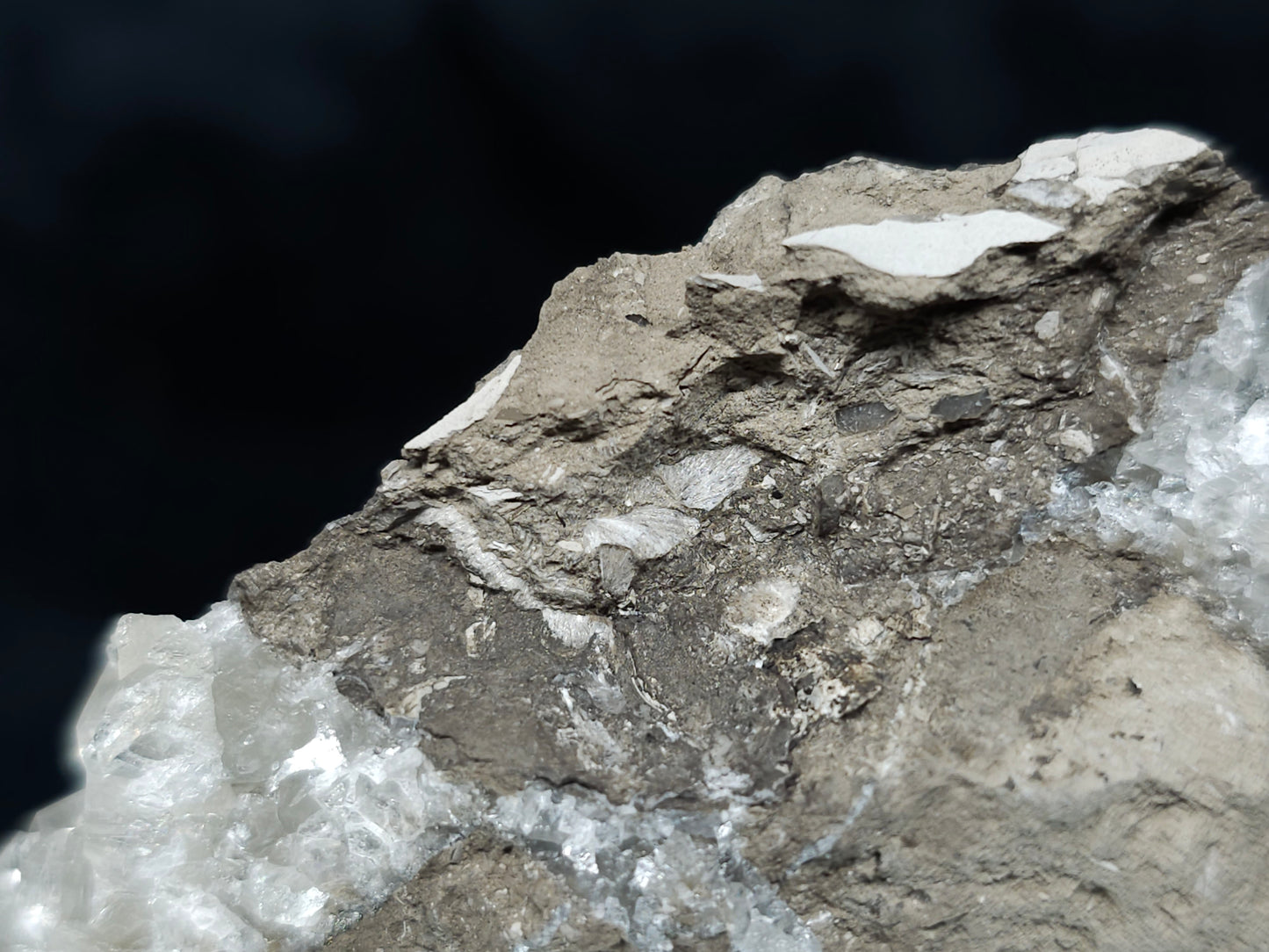 #33981 Super clear Nailhead Spar Calcite cluster and Chalcopyrite ore and multiple small fossils in the matrix
