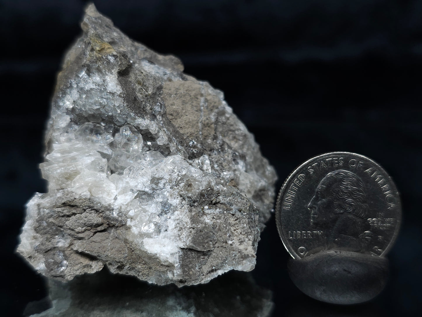 #33984 Super clear Nailhead Spar Calcite cluster and Chalcopyrite ore and multiple small fossils in the matrix