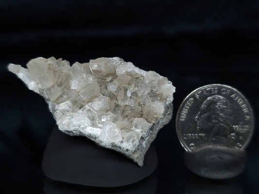#33991  Double phantom Nailhead Spar Calcite cluster with Chalcopyrite ore and multiple small fossils in the matrix