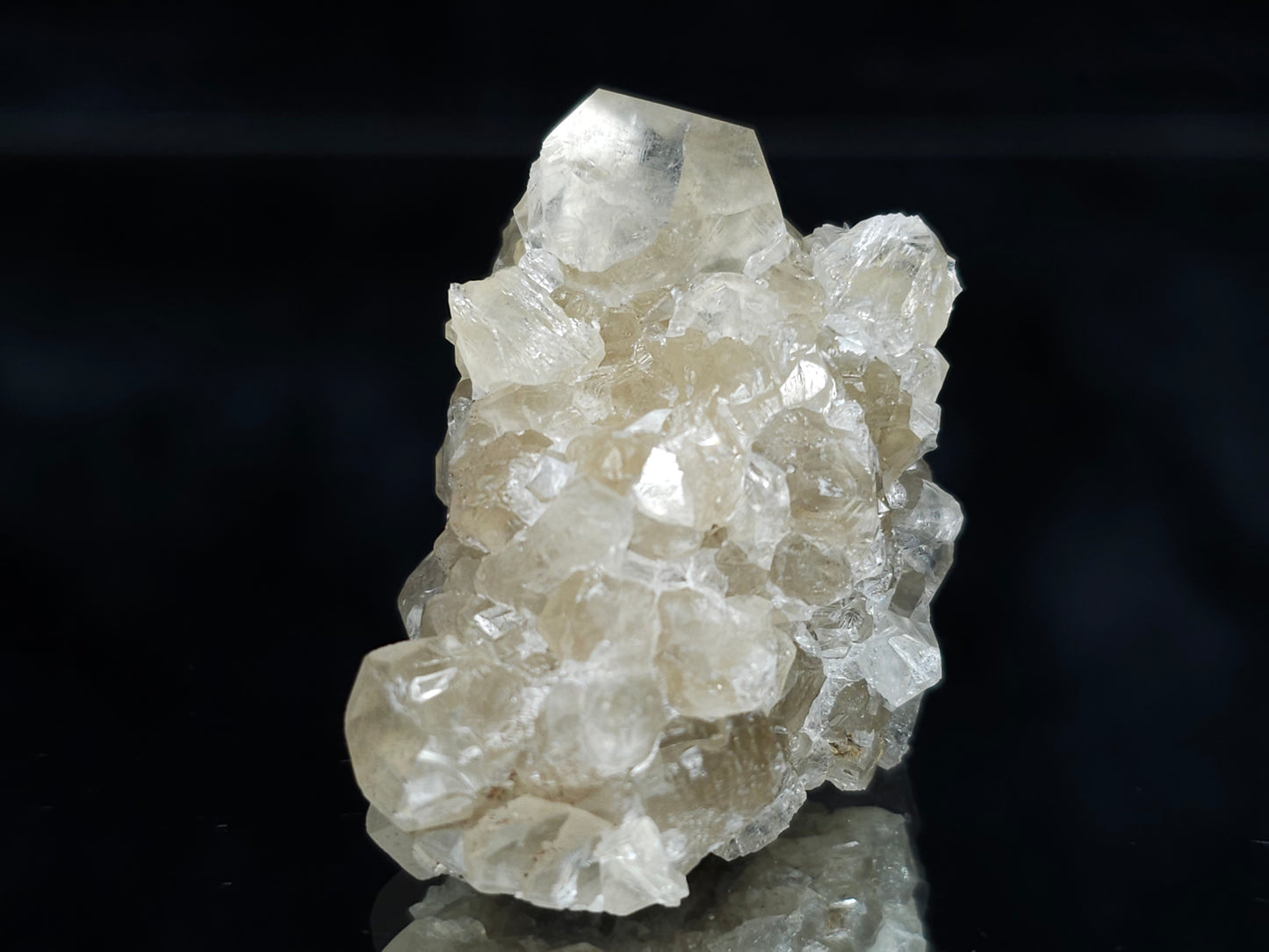 #34001 Super clear Nailhead Spar Calcite cluster and Chalcopyrite ore and multiple small fossils in the matrix