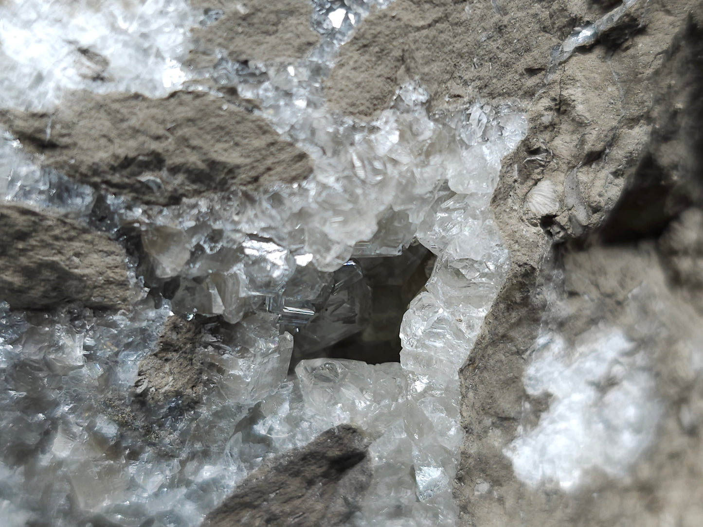 #34011 Super clear Nailhead Spar Calcite geode and Chalcopyrite ore and multiple small fossils in the matrix