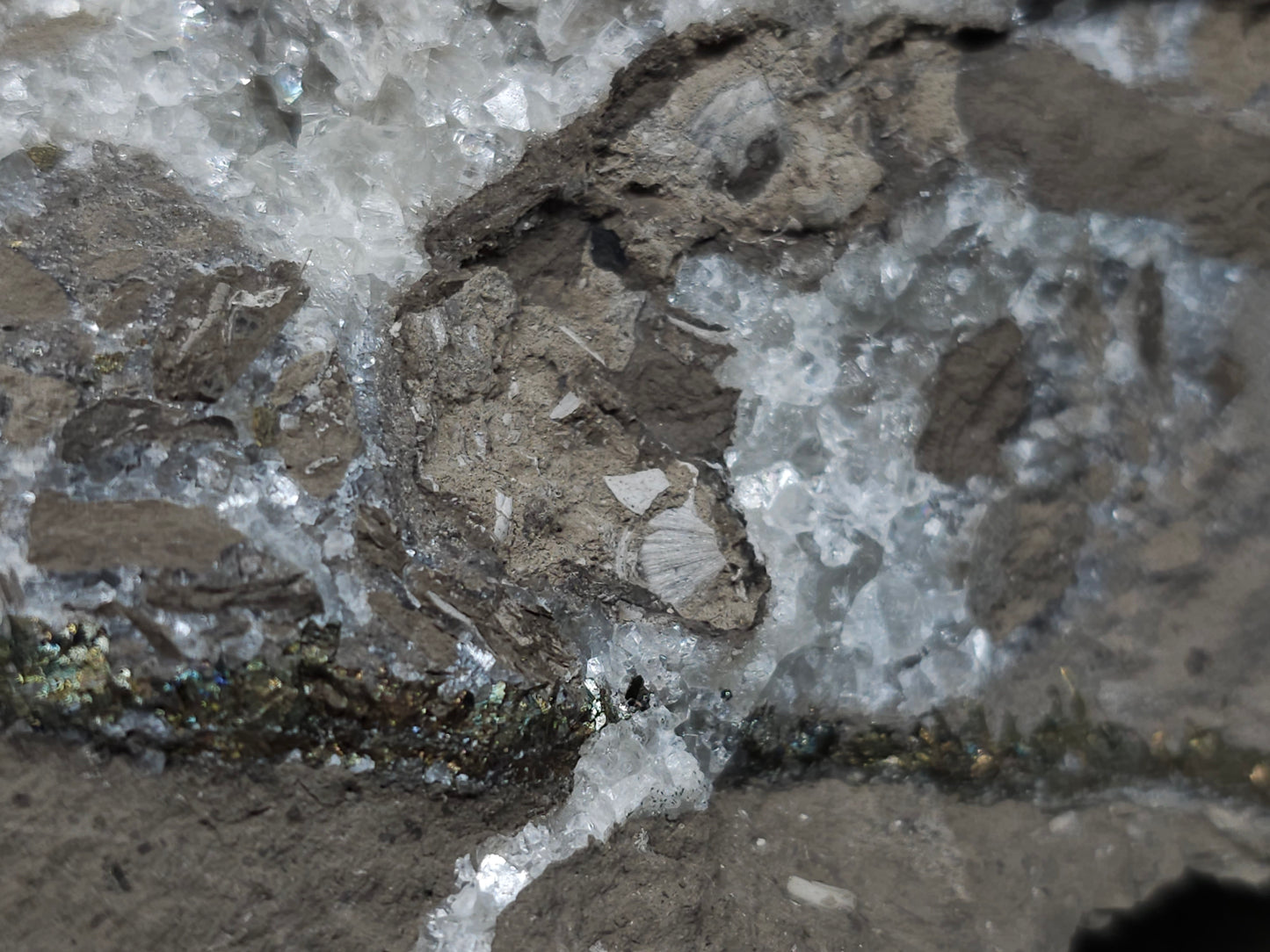#34012 Super clear Nailhead Spar Calcite cluster and Chalcopyrite ore and multiple small fossils in the matrix