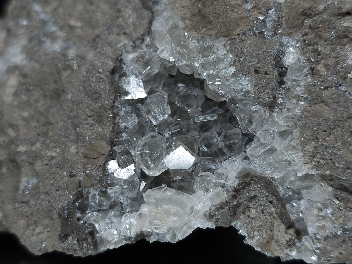 #34013 Super clear Nailhead Spar Calcite cluster and Chalcopyrite ore and multiple small fossils in the matrix