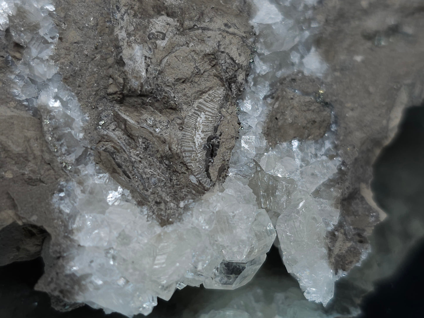 #34013 Super clear Nailhead Spar Calcite cluster and Chalcopyrite ore and multiple small fossils in the matrix