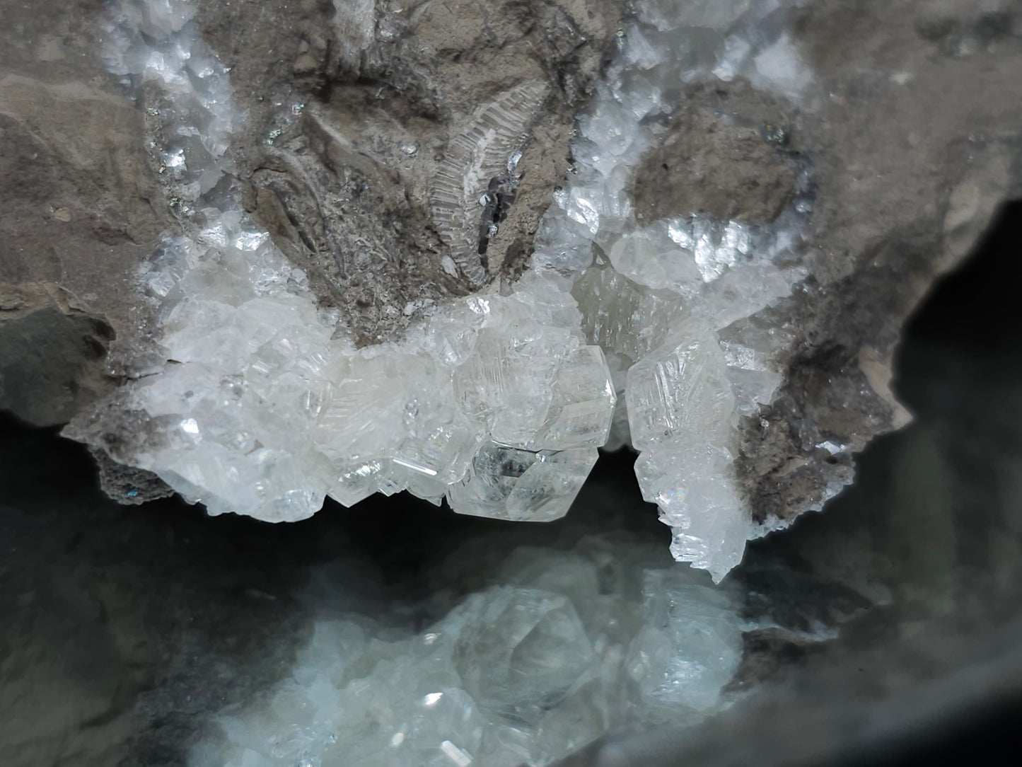 #34013 Super clear Nailhead Spar Calcite cluster and Chalcopyrite ore and multiple small fossils in the matrix