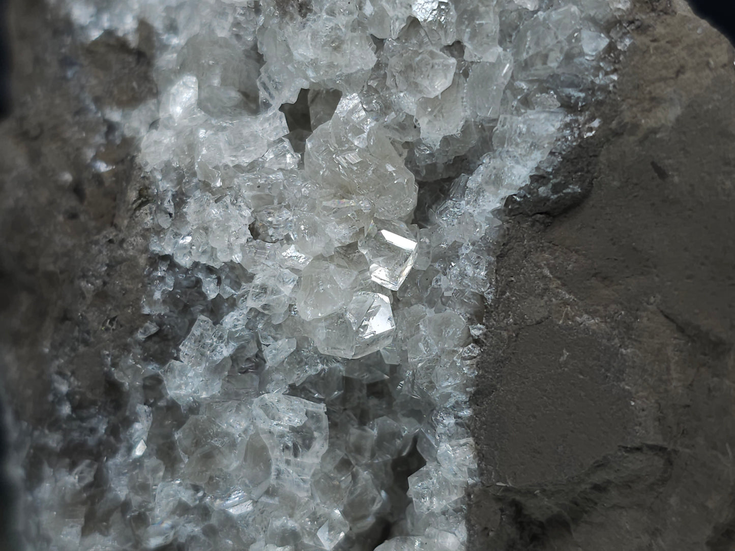#34014 Super clear Nailhead Spar Calcite cluster and Chalcopyrite ore and multiple small fossils in the matrix