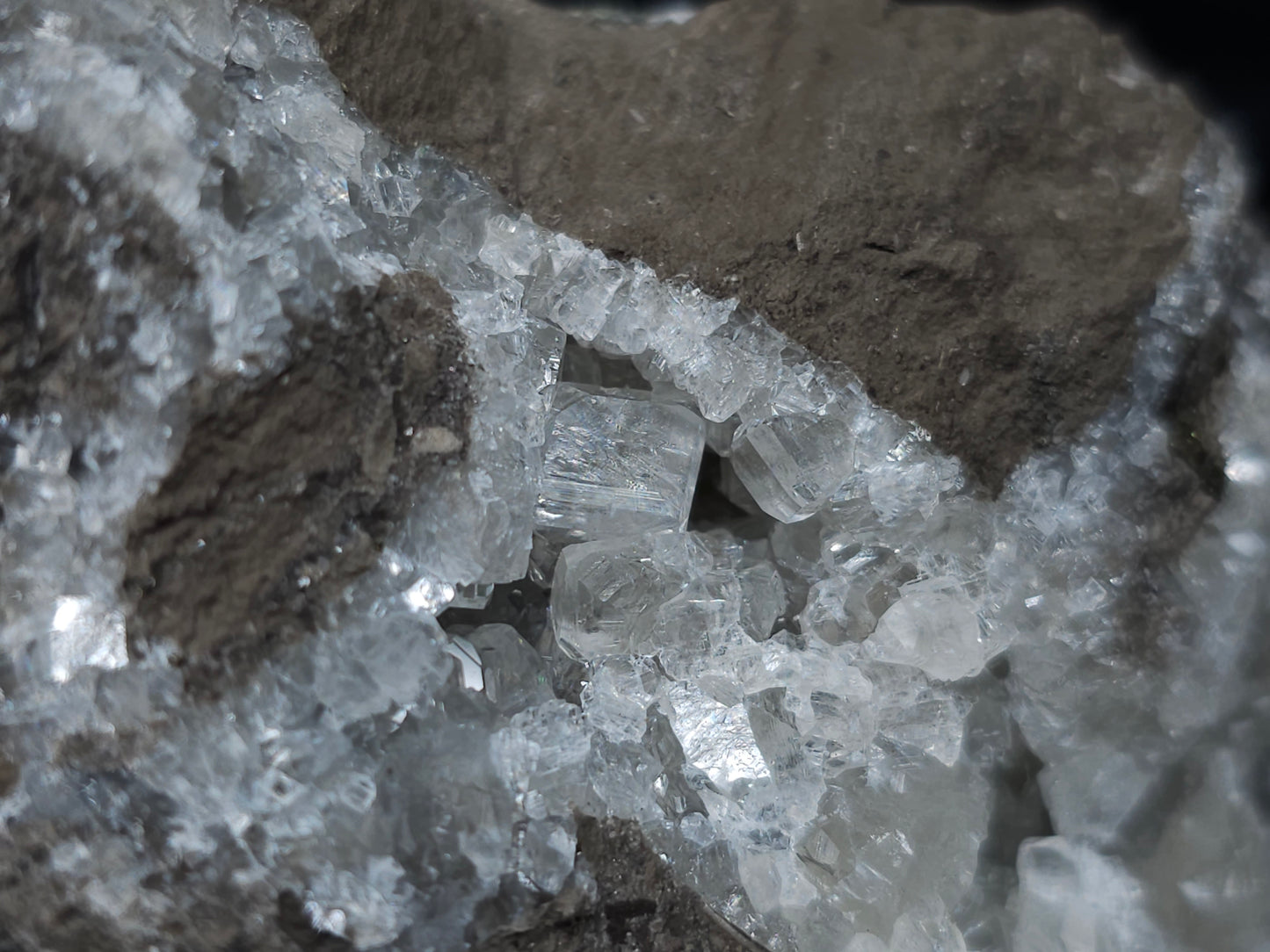 #34014 Super clear Nailhead Spar Calcite cluster and Chalcopyrite ore and multiple small fossils in the matrix