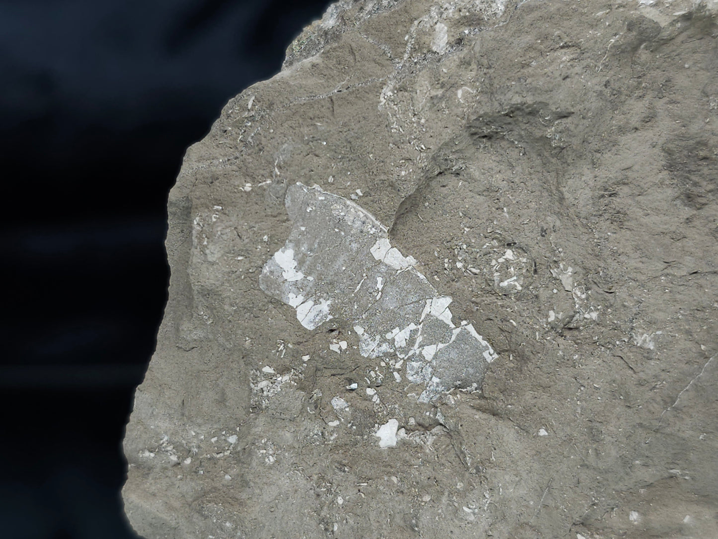 #34014 Super clear Nailhead Spar Calcite cluster and Chalcopyrite ore and multiple small fossils in the matrix