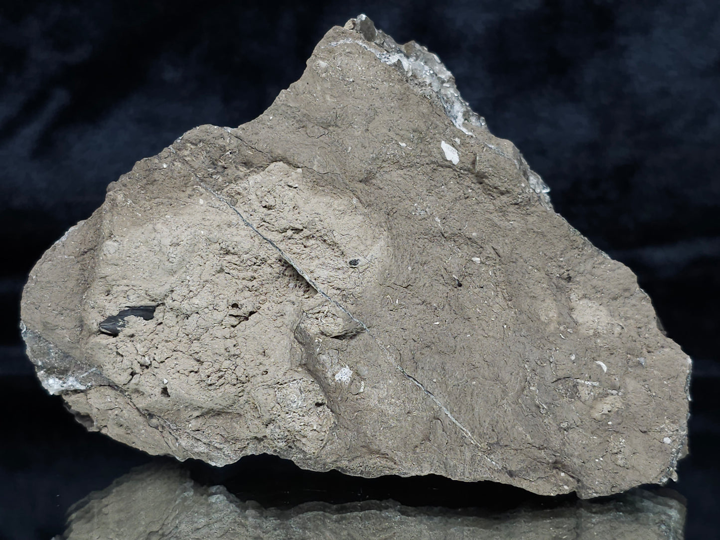 #34015  Double phantom Nailhead Spar Calcite cluster with Chalcopyrite ore and multiple small fossils in the matrix