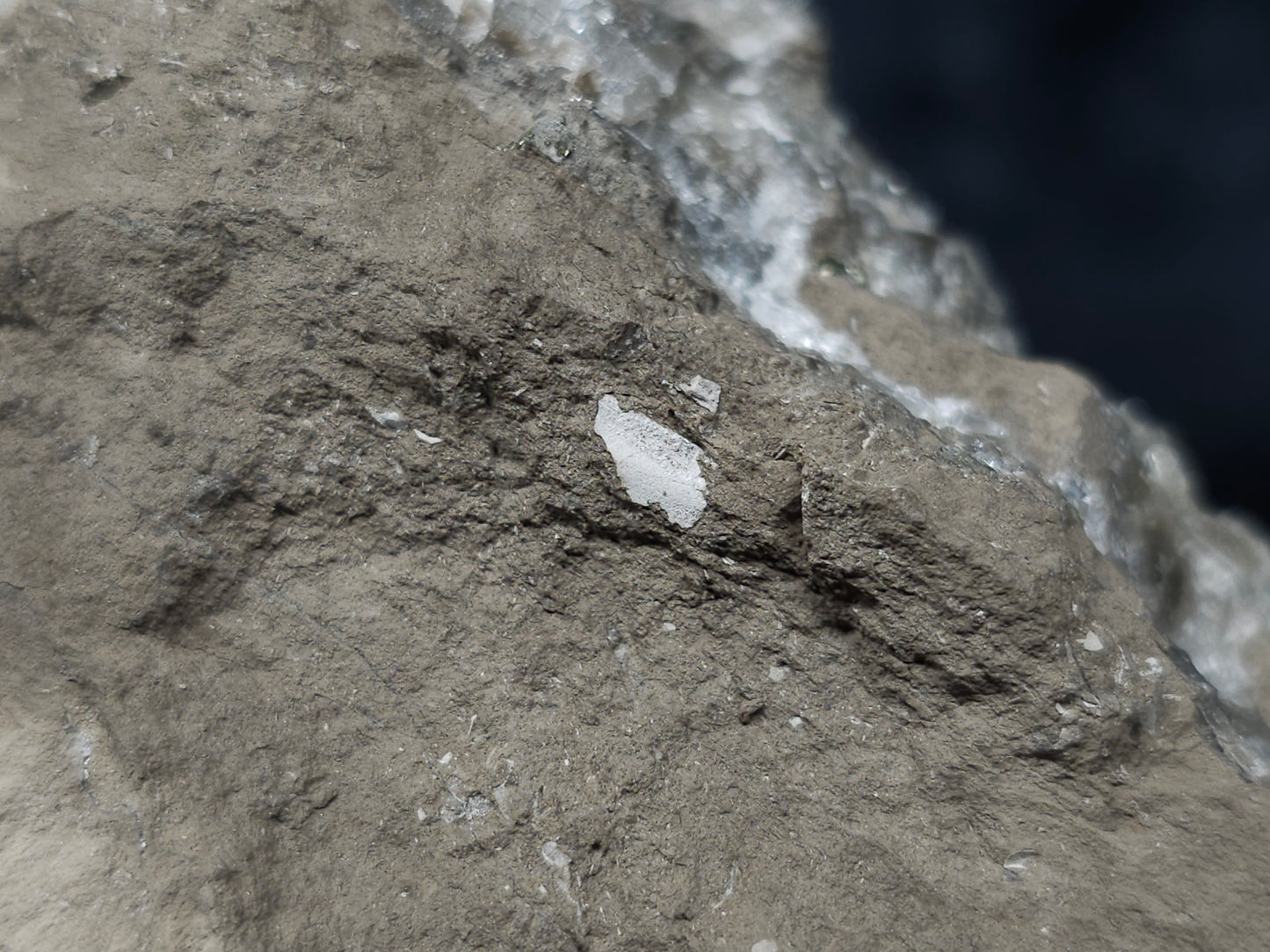 #34015  Double phantom Nailhead Spar Calcite cluster with Chalcopyrite ore and multiple small fossils in the matrix