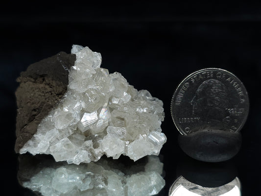 #34018-B Super clear Nailhead Spar Calcite cluster and Chalcopyrite ore and multiple small fossils in the matrix