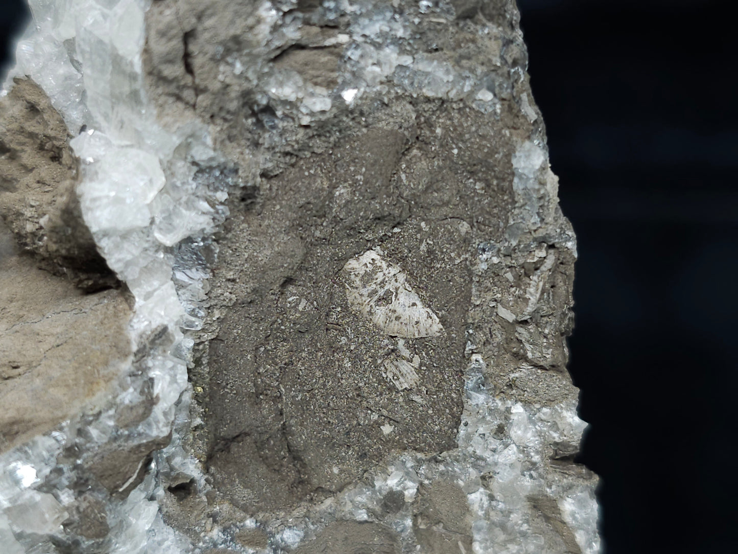 #34018-A Super clear Nailhead Spar Calcite cluster and Chalcopyrite ore and multiple small fossils in the matrix