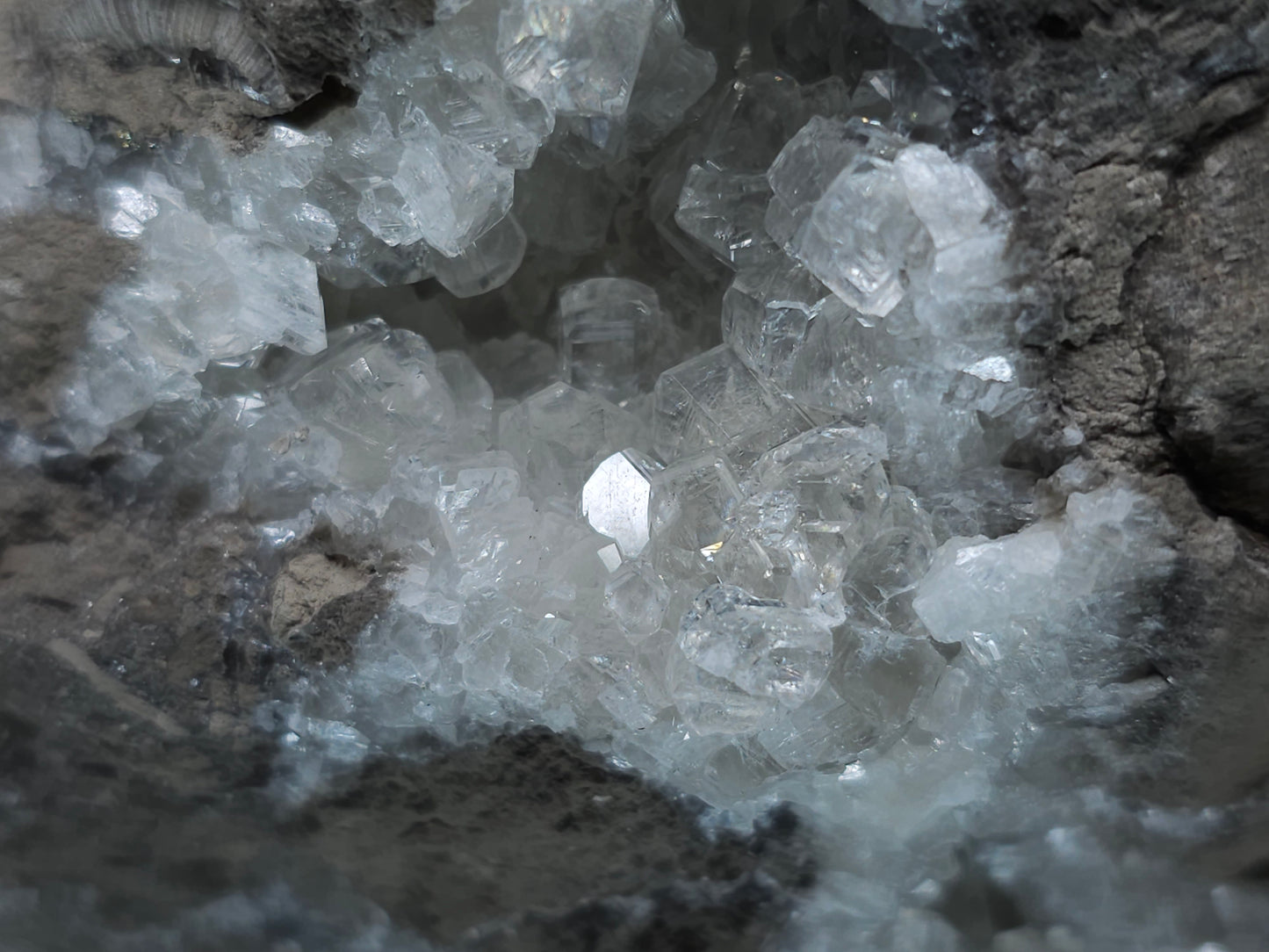 #34019 Super Clear Nailhead Spar Calcite geode it also have Chalcopyrite ore and multiple small fossils in the matrix