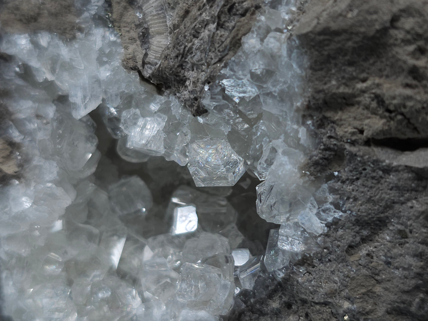 #34019 Super Clear Nailhead Spar Calcite geode it also have Chalcopyrite ore and multiple small fossils in the matrix