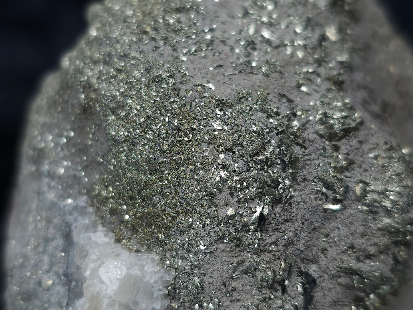 #66000 Tightly packed bladed crystals Marcasite and on Sedimentary martrix that also have multiple small fossils