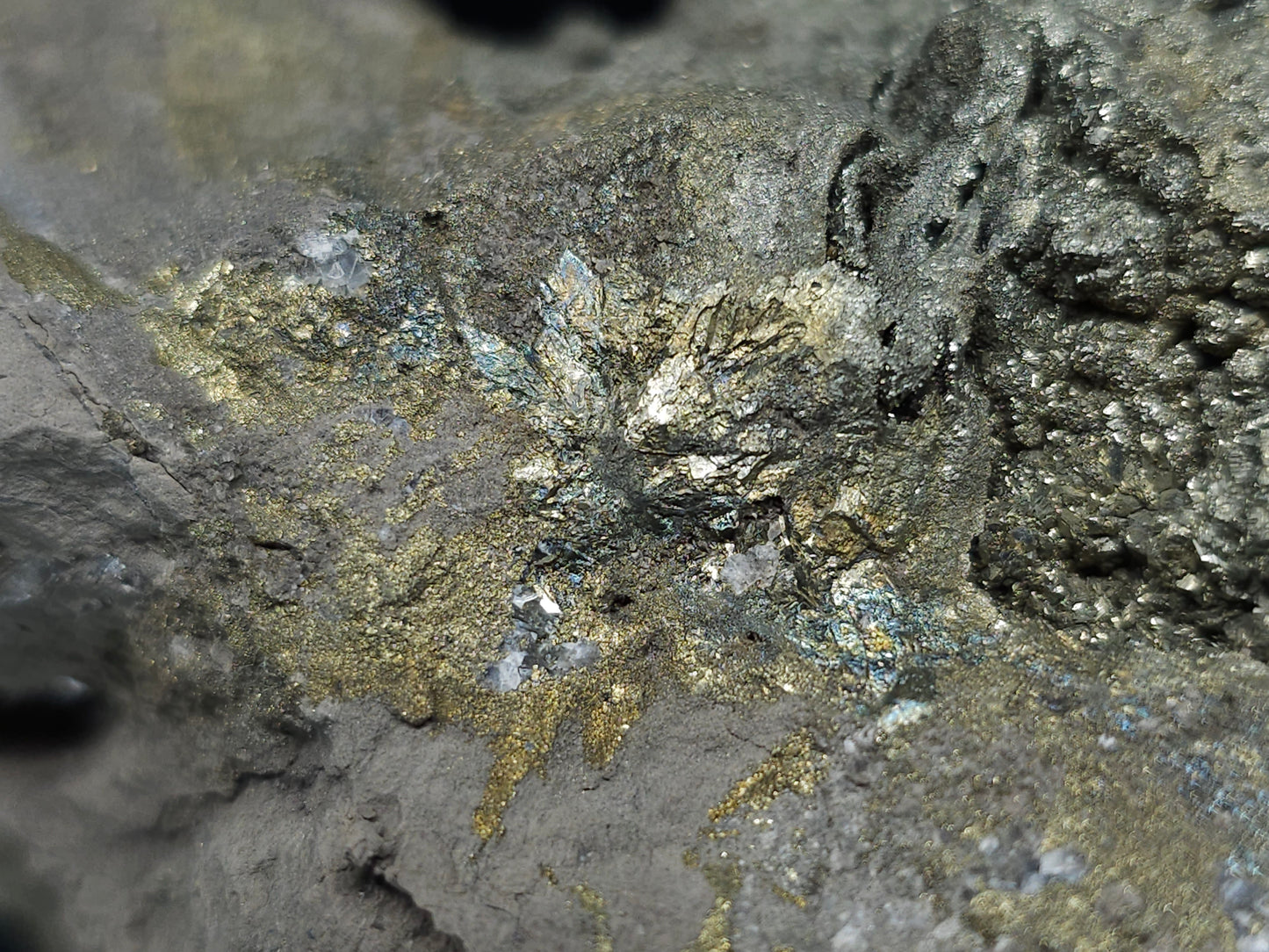 #66002 Hydrothermal mineral deposit that have fossil flower with peacock Chalcopyrite ore coating with small Dogthoot Spar Calcite and multiple fossil