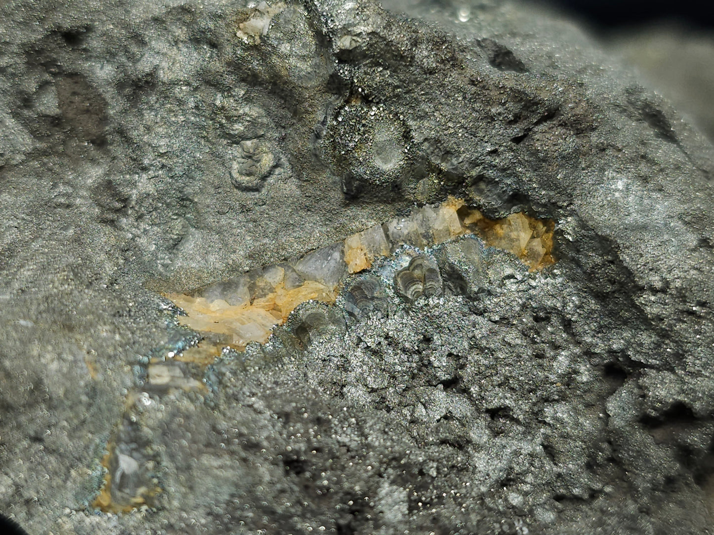 #66002 Hydrothermal mineral deposit that have fossil flower with peacock Chalcopyrite ore coating with small Dogthoot Spar Calcite and multiple fossil