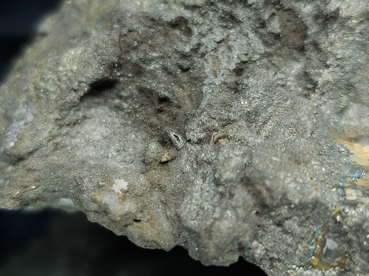 #66002 Hydrothermal mineral deposit that have fossil flower with peacock Chalcopyrite ore coating with small Dogthoot Spar Calcite and multiple fossil