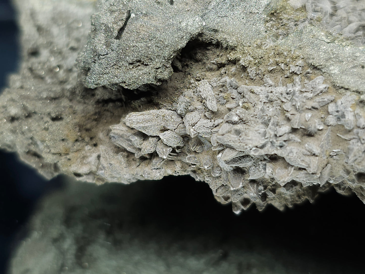 #66002 Hydrothermal mineral deposit that have fossil flower with peacock Chalcopyrite ore coating with small Dogthoot Spar Calcite and multiple fossil