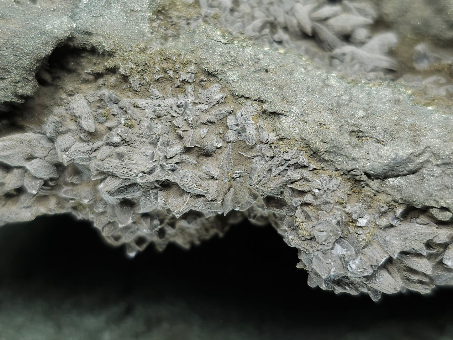 #66002 Hydrothermal mineral deposit that have fossil flower with peacock Chalcopyrite ore coating with small Dogthoot Spar Calcite and multiple fossil