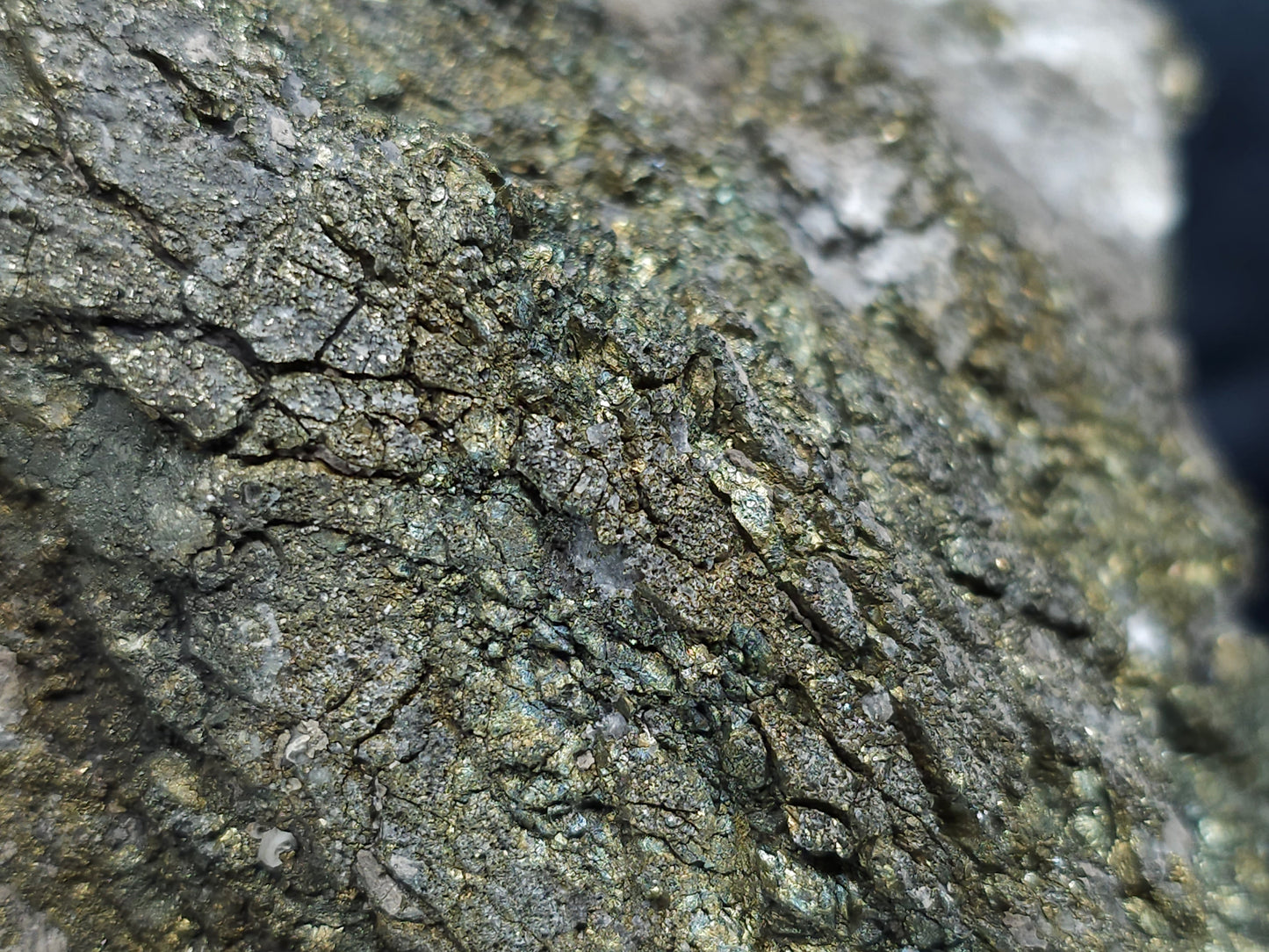 #66010 Chalcopyrite ore formation it almost looks like petrefied woods that was covered by some beautiful peacock Chalcopyrite ore formation, also have super clear Nailhead Spar Calcite