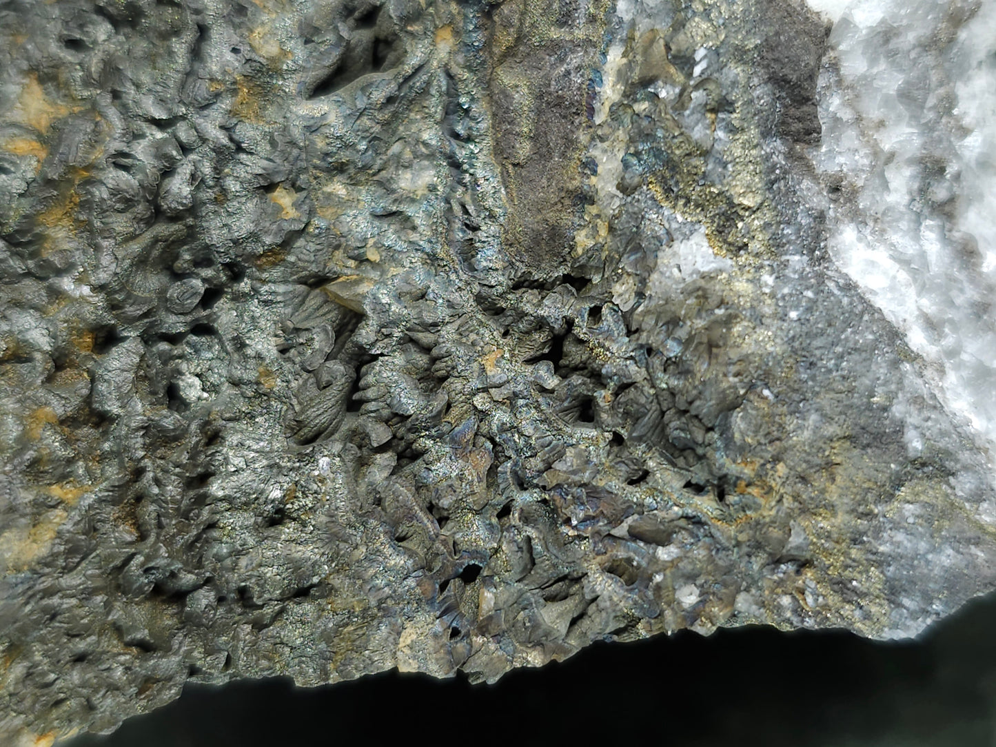 #66014 Golden Chalcopyrite ore with Nailhead Spar Calcite formation, it also have fossil flower with peacock Chalcopyrite ore coating with multiple fossils